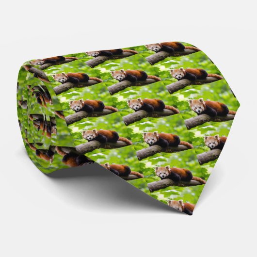 Red Panda Neck Tie Krawatte (Gerollt)