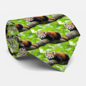 Red Panda Neck Tie Krawatte (Gerollt)