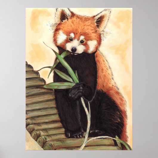 Red Panda Nom Poster (Vorne)