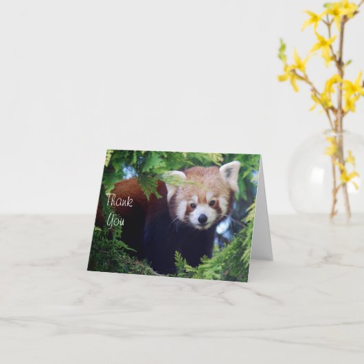 Red Panda Note Card Karte (Gelbe Blume)