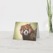 Red Panda notecard Karte (Vorderseite)