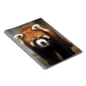 Red Panda Notizblock (Rechte Seite)