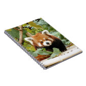Red Panda Notizblock (Rechte Seite)