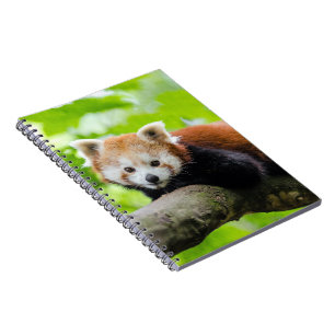 Red Panda Notizblock