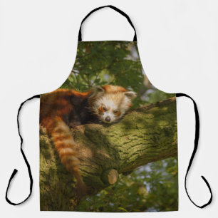 RED PANDA ON GREEN TREE BRANCH SCHÜRZE