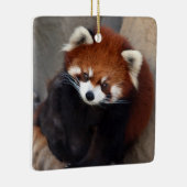 Red Panda Ornament (Rechts)