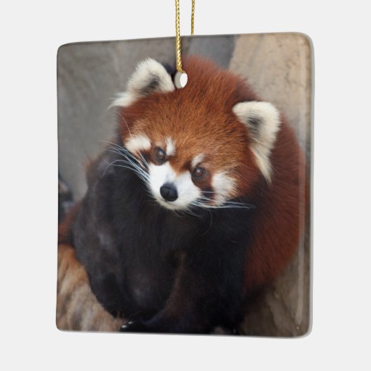 Red Panda Ornament (Links)