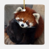 Red Panda Ornament (Rückseite)