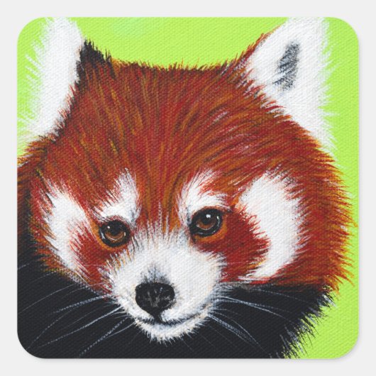 Red Panda Painting Quadratischer Aufkleber (Vorderseite)