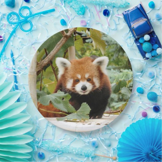 Red Panda Pappteller (Party)