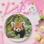 Red Panda Pappteller (Party)