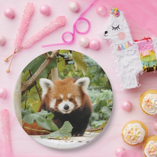 Red Panda Pappteller (Party)