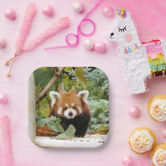 Red Panda Pappteller (Party)