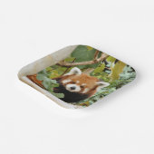 Red Panda Pappteller (Gewinkelt)