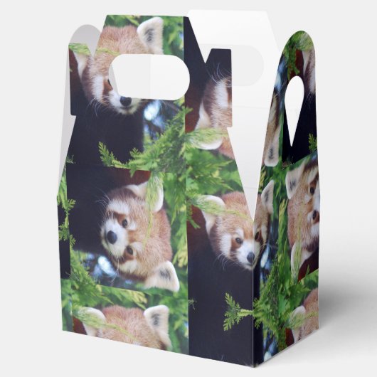Red Panda Pattern Geschenkschachtel (Geöffnet)