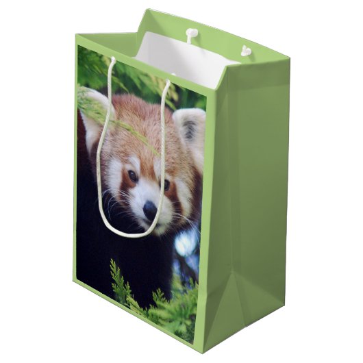 Red Panda Pattern Mittlere Geschenktüte (Rückseite Schrägansicht)