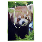 Red Panda Pattern Mittlere Geschenktüte (Vorderseite)