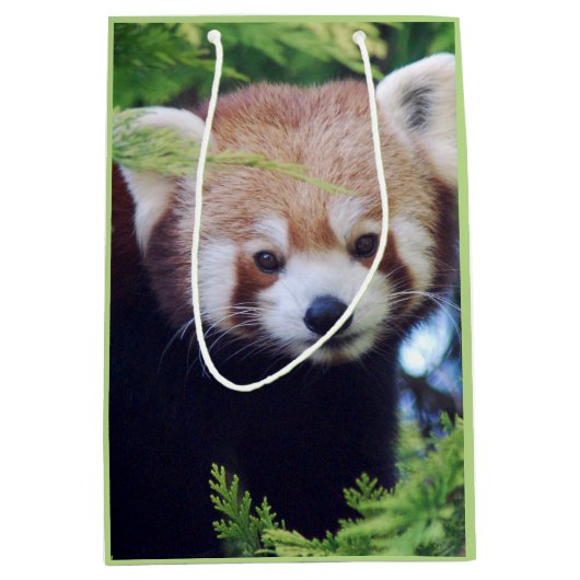 Red Panda Pattern Mittlere Geschenktüte (Vorderseite)
