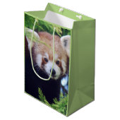 Red Panda Pattern Mittlere Geschenktüte (Vorderseite Schrägansicht)