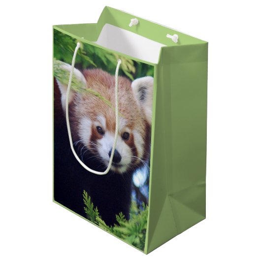Red Panda Pattern Mittlere Geschenktüte (Vorderseite Schrägansicht)