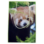 Red Panda Pattern Mittlere Geschenktüte (Rückseite)