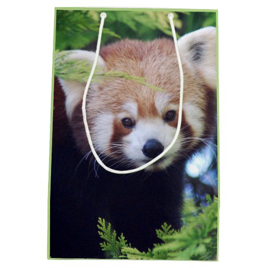 Red Panda Pattern Mittlere Geschenktüte (Rückseite)