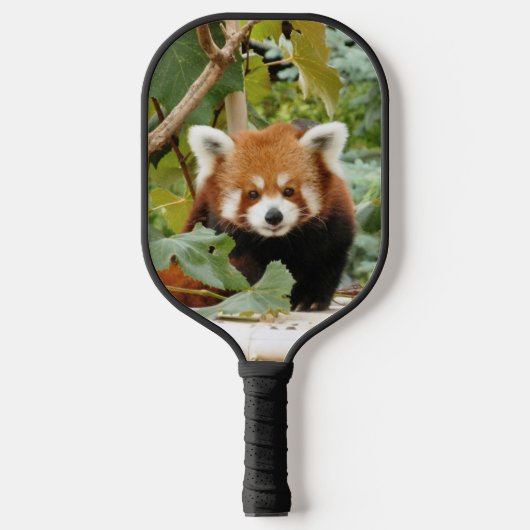 Red Panda Pickleball Schläger (Vorderseite)