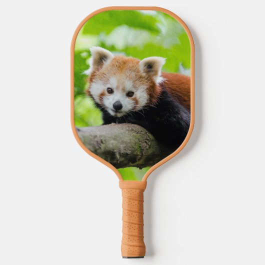 Red Panda Pickleball Schläger (Vorderseite)