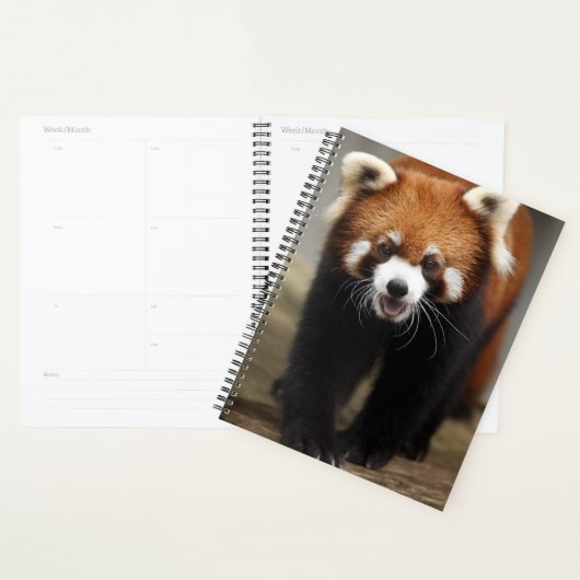 Red Panda Planer (Anzeige)