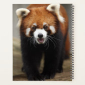 Red Panda Planer (Rückseite)