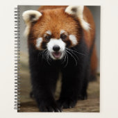 Red Panda Planer (Vorderseite)