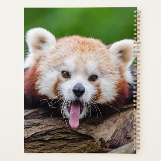 Red Panda Planer (Rückseite)