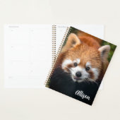 Red Panda Planer (Anzeige)