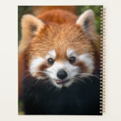 Red Panda Planer (Rückseite)
