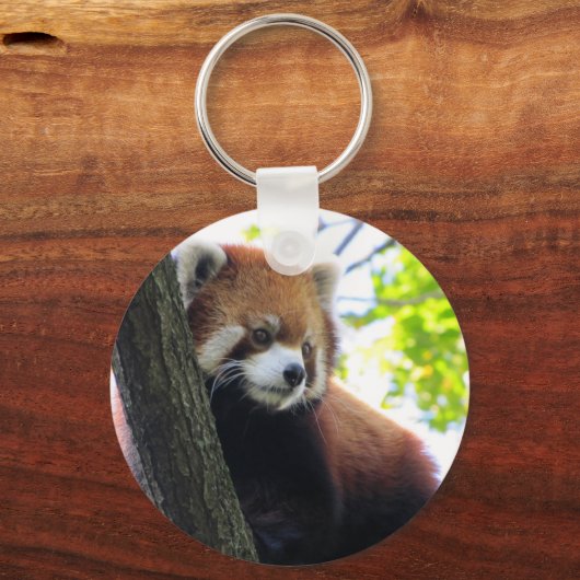 Red Panda Portrait Schlüsselanhänger (Vorderseite)