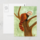 Red Panda Postcard Postkarte (Vorne/Hinten)