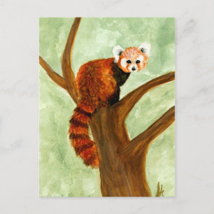 Red Panda Postcard Postkarte