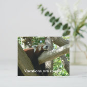 Red Panda Postcard Postkarte (Stehend Vorderseite)