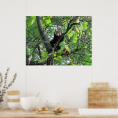 Red Panda Poster (Küche)