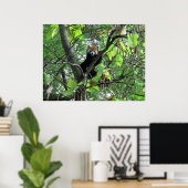 Red Panda Poster (Heimbüro)