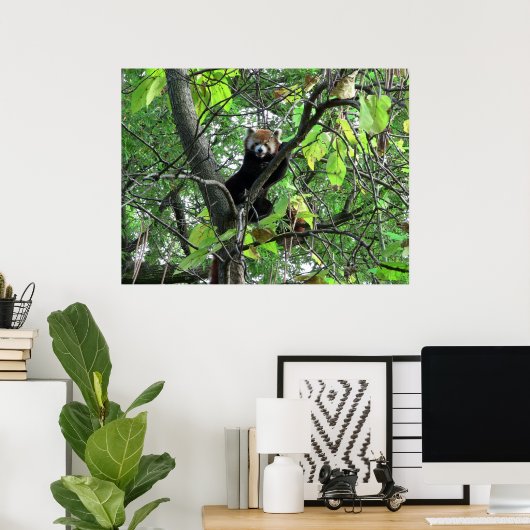 Red Panda Poster (Heimbüro)