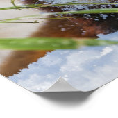 Red Panda Poster (Ecke)