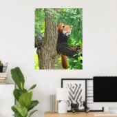 Red Panda Poster (Heimbüro)