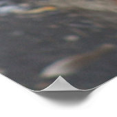 Red Panda Poster (Ecke)