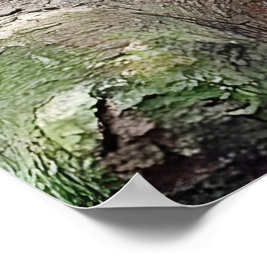 Red Panda Poster (Ecke)