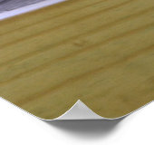 Red Panda Poster (Ecke)