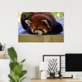 Red Panda Poster (Heimbüro)