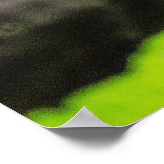 Red Panda Poster (Ecke)