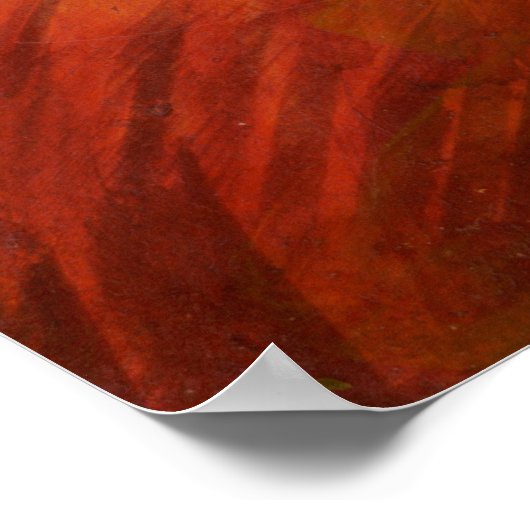 Red Panda Poster (Ecke)