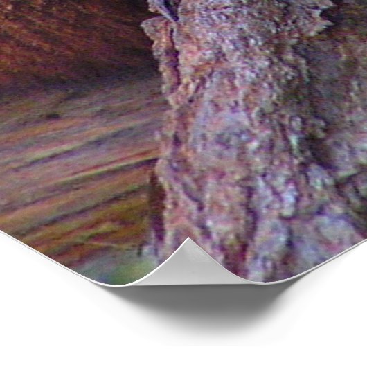 Red Panda Poster (Ecke)